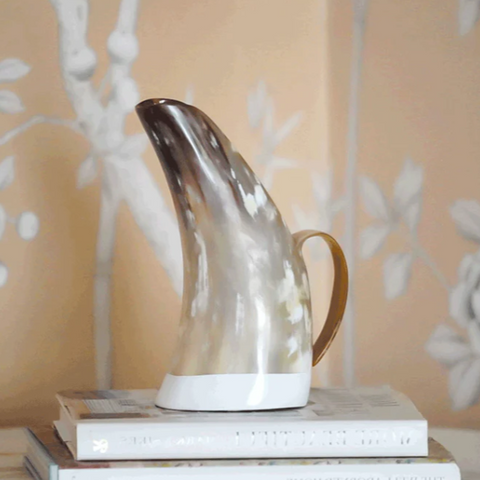 Horn Pitcher